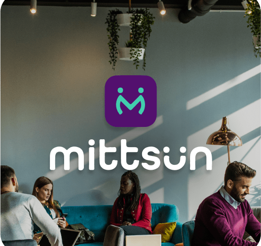 CLEEVER_Miniature_Mittsun;-min