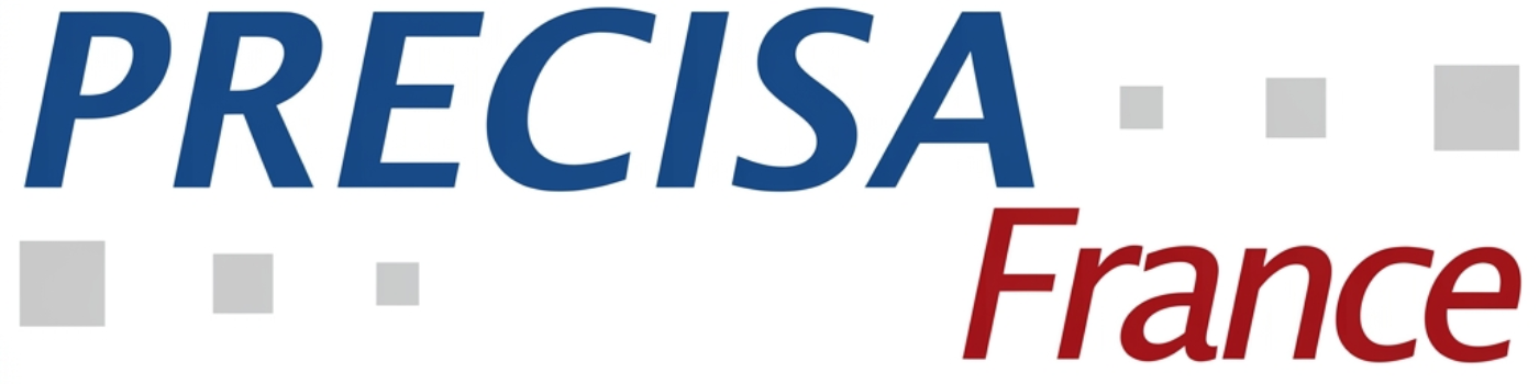 Logo Precisa